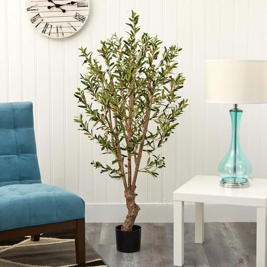 5ft. Potted Olive Tree